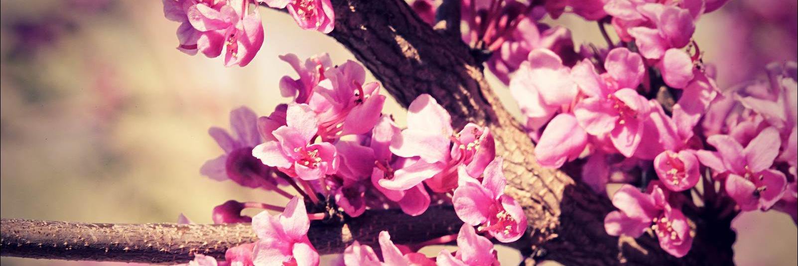 Monki93_'s profile banner image