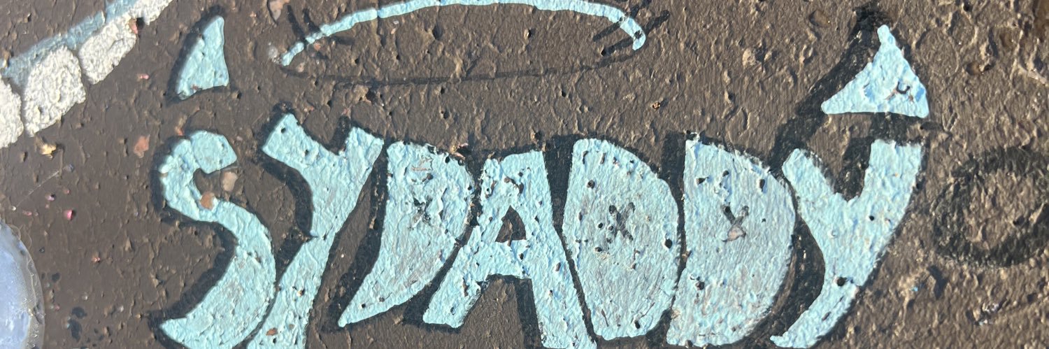suuhdel's profile banner image