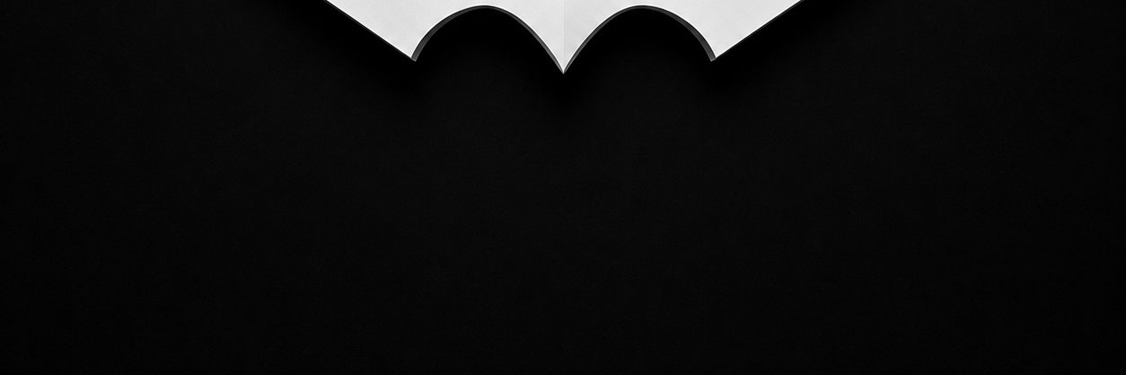 leodeqi's profile banner image