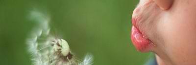 GreerCarole's profile banner image