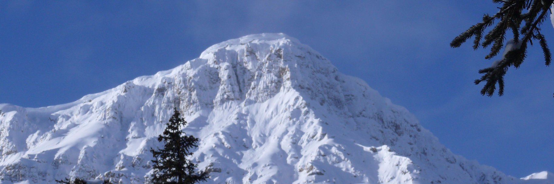 Mark Anielski banner