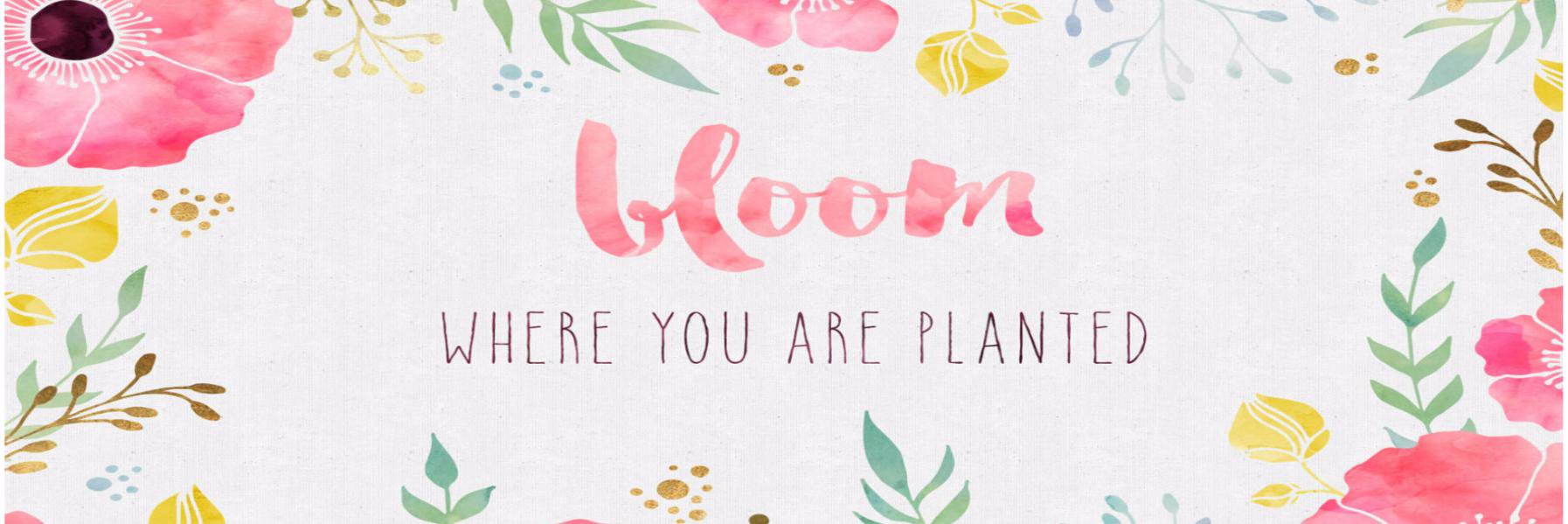 YoungBlood 🍉 banner