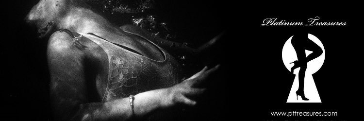 PT_Treasures's profile banner image