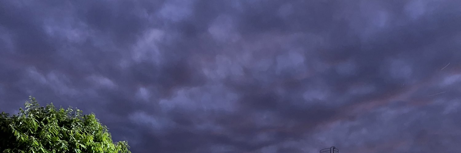 wtfprongss's profile banner image