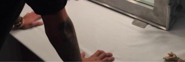 biebscumpany's profile banner image