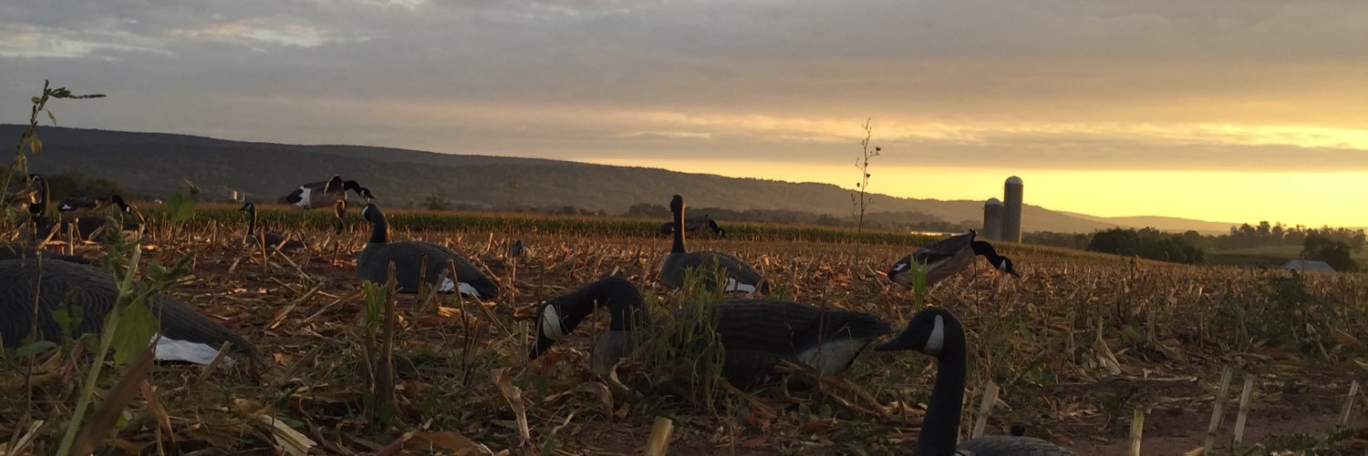BackwoodsMafia9's profile banner image
