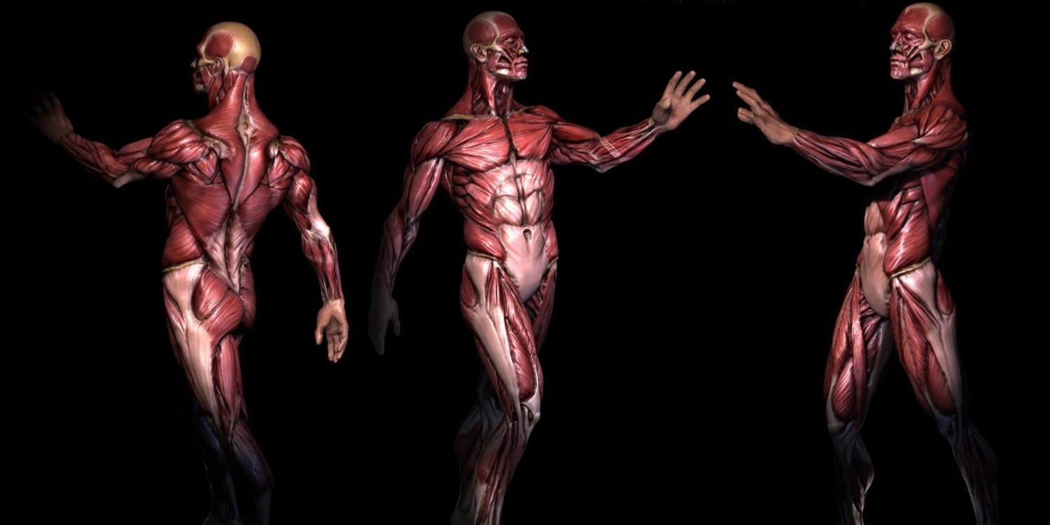 SJRunningDoc's profile banner image