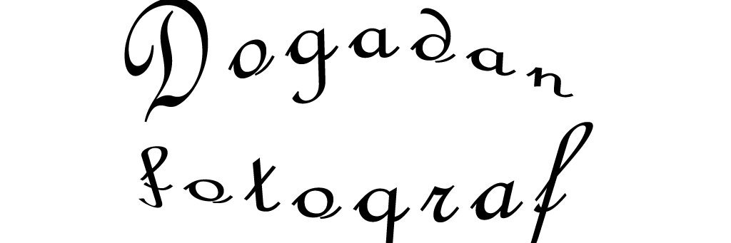 dogadanfotocu's profile banner image