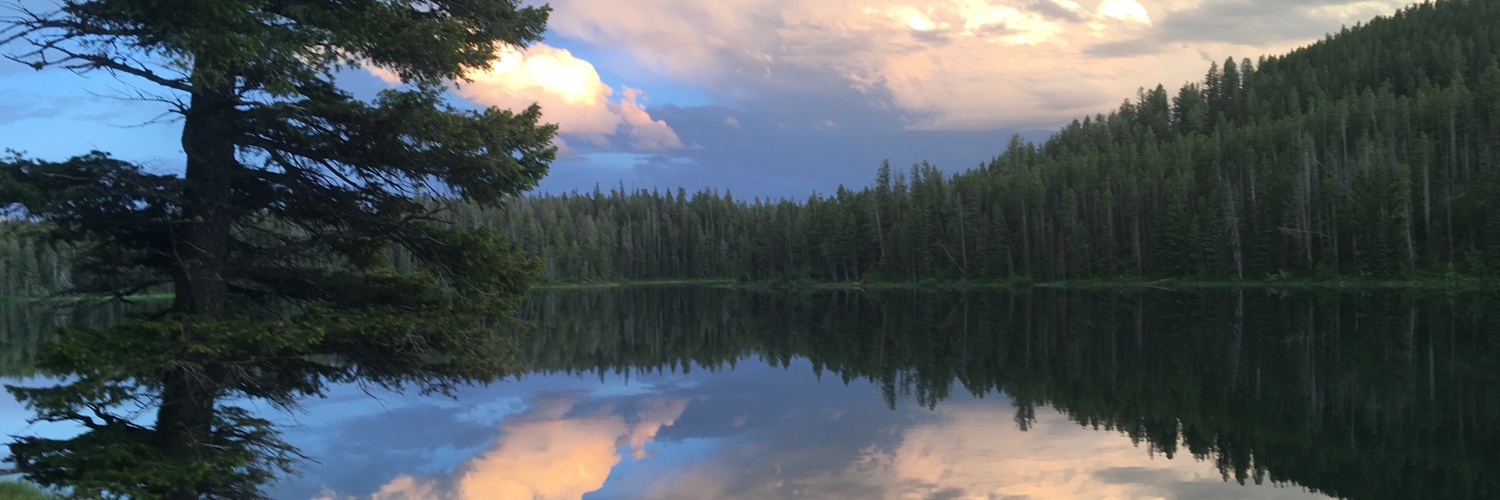 bdonovan_3's profile banner image