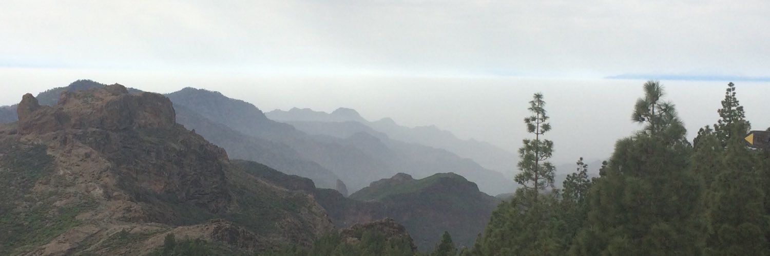 Esther Borderia banner