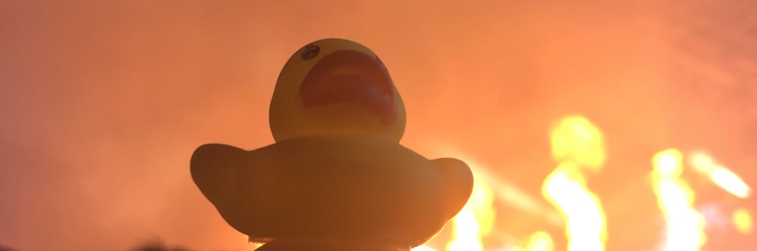 boringgoose's profile banner image