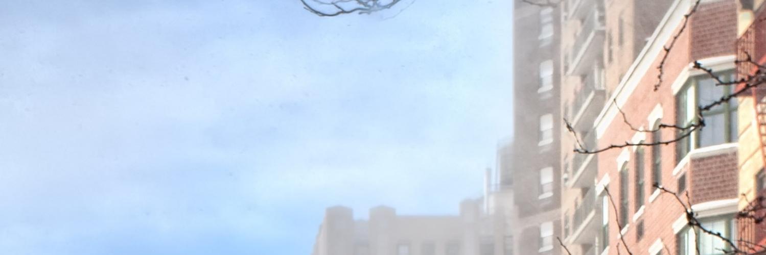 yiyipony's profile banner image