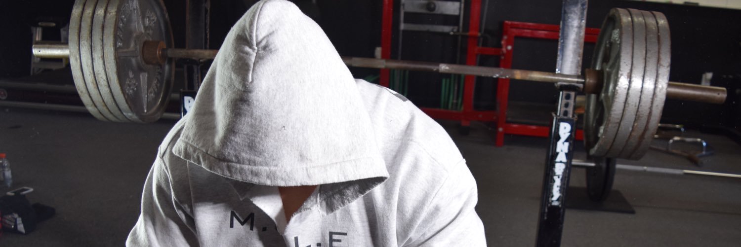 trainlikeamule's profile banner image