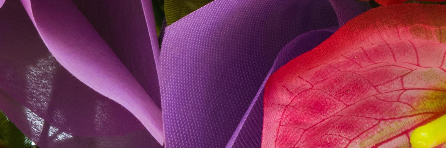 sisirole's profile banner image
