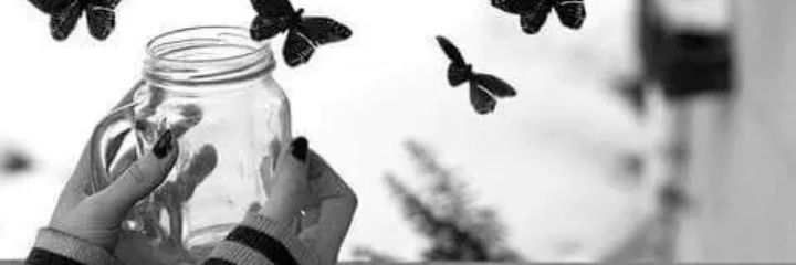 eng_lotus's profile banner image