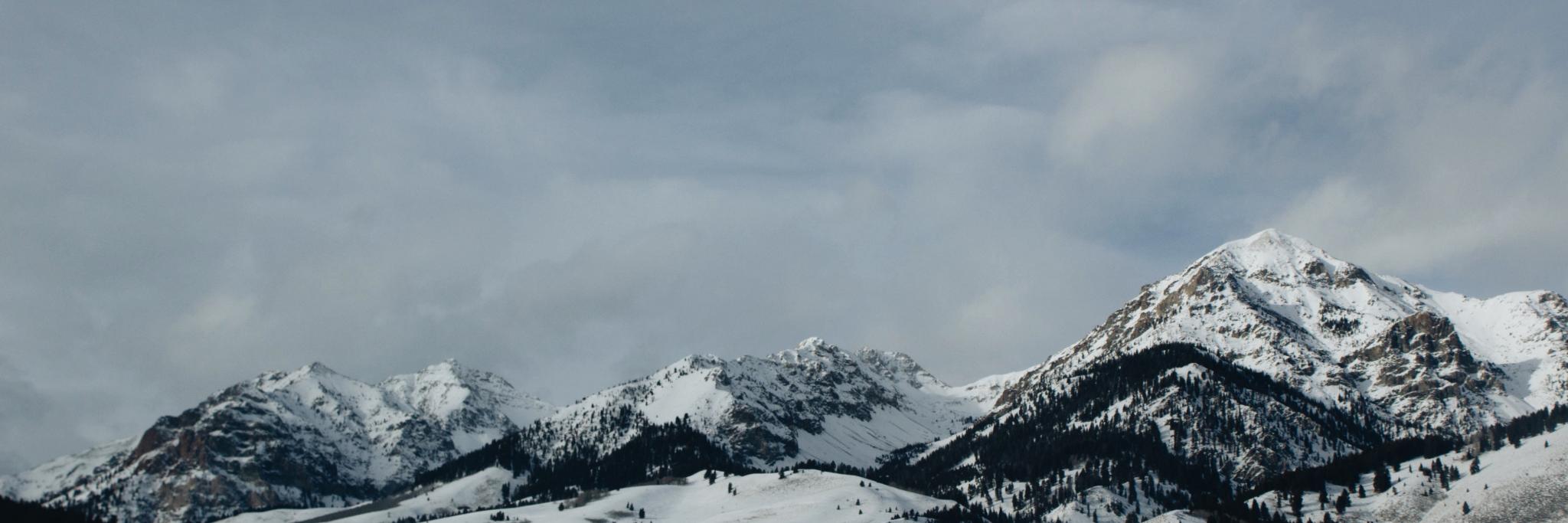 samanthamckaige's profile banner image