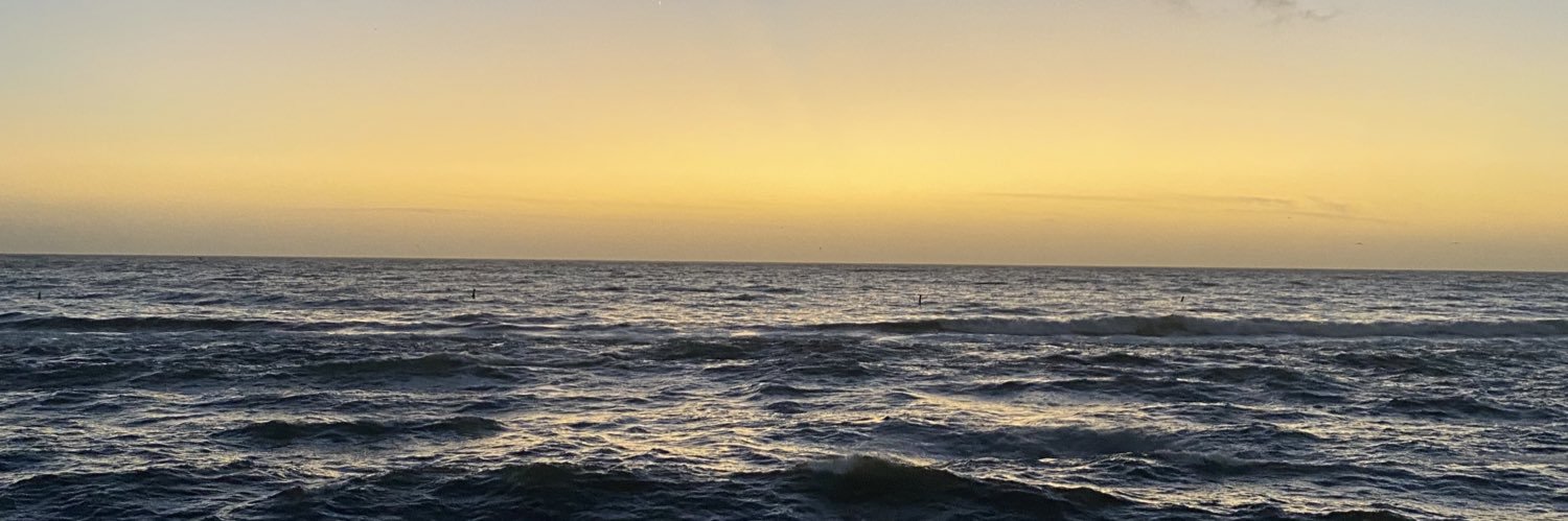riahambriz's profile banner image