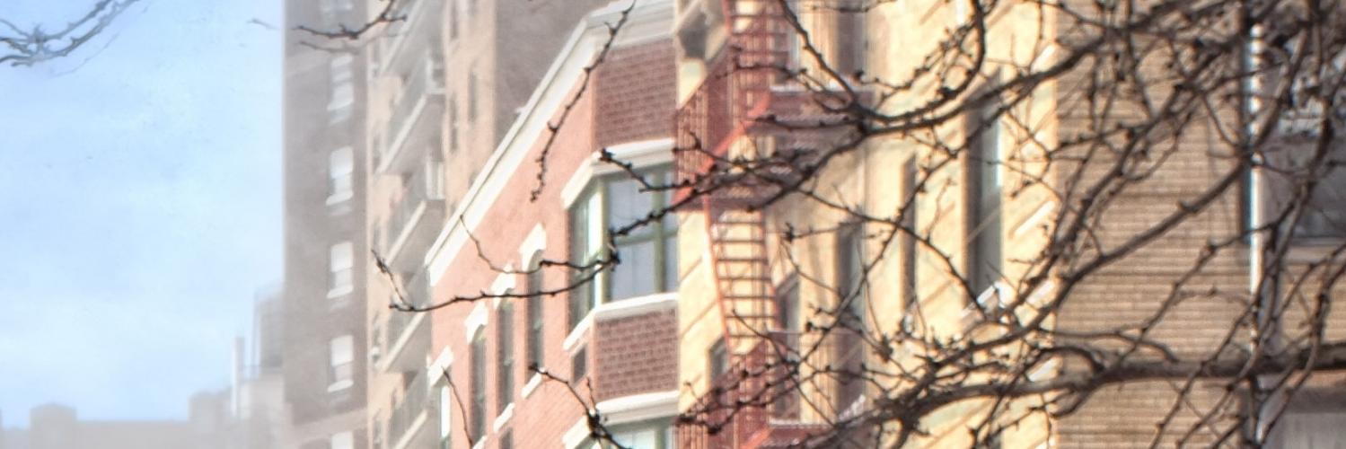 xipurihe's profile banner image