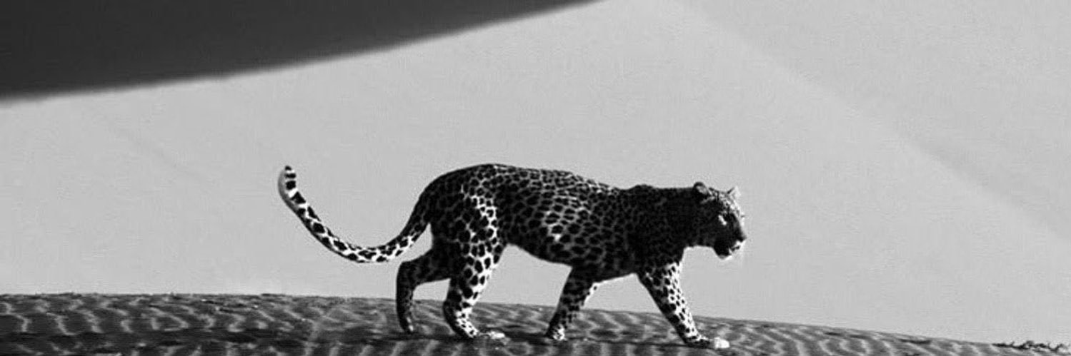 Abdulrahman H banner