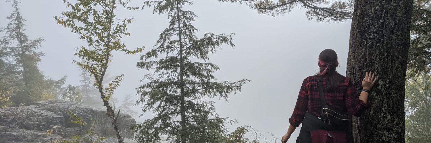 Mellimusic's profile banner image