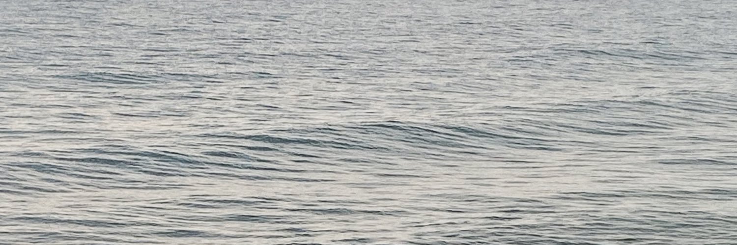 kamillytapia's profile banner image