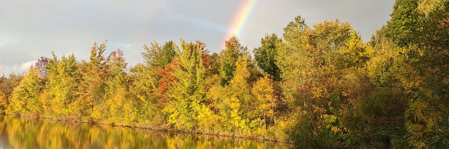 bknoll83's profile banner image