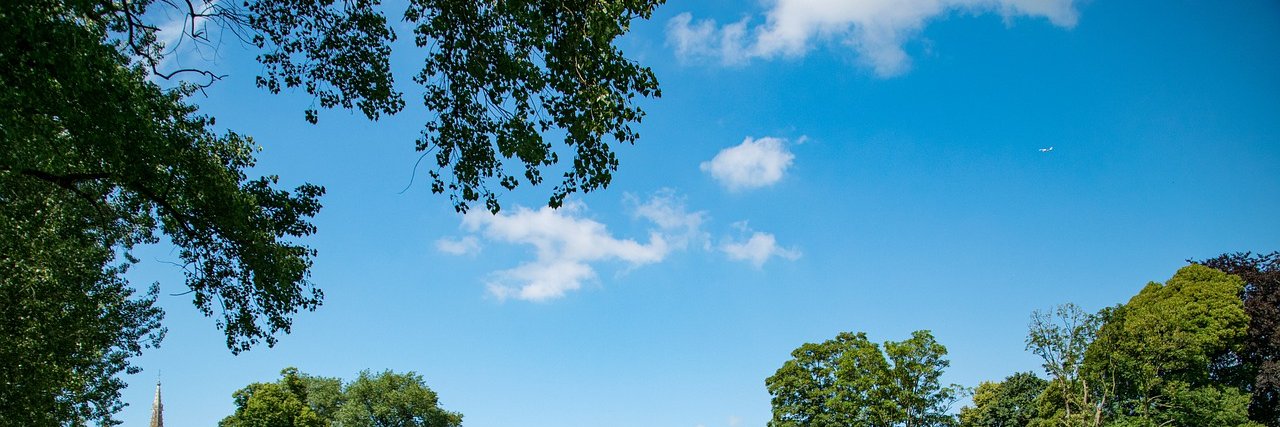 calebchap2012's profile banner image
