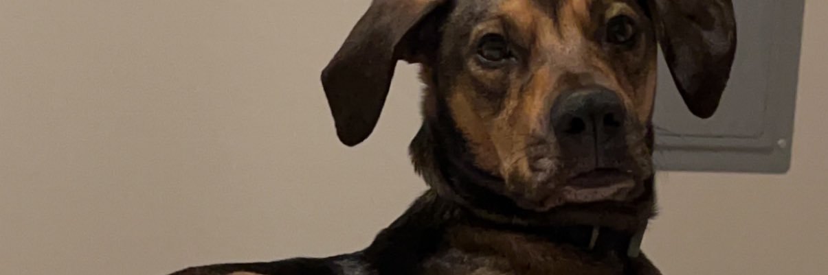 Chloeee2017's profile banner image