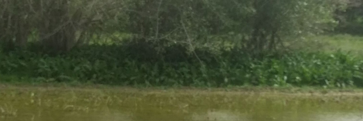 koiter12's profile banner image