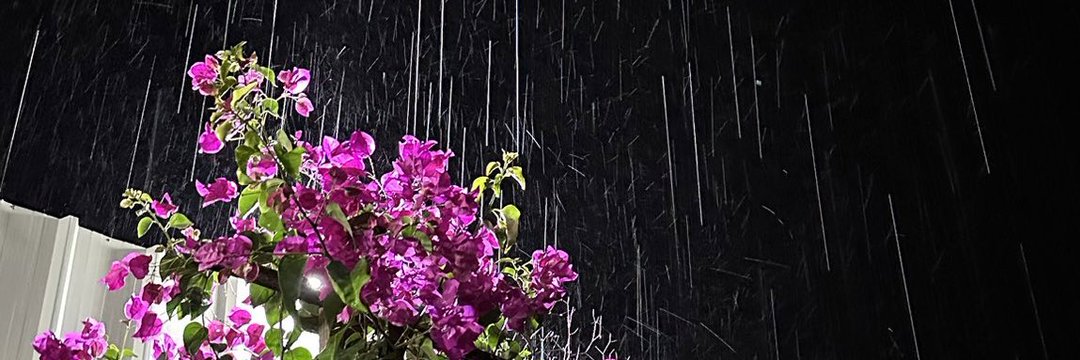 Mahmoud_Fathi91's profile banner image
