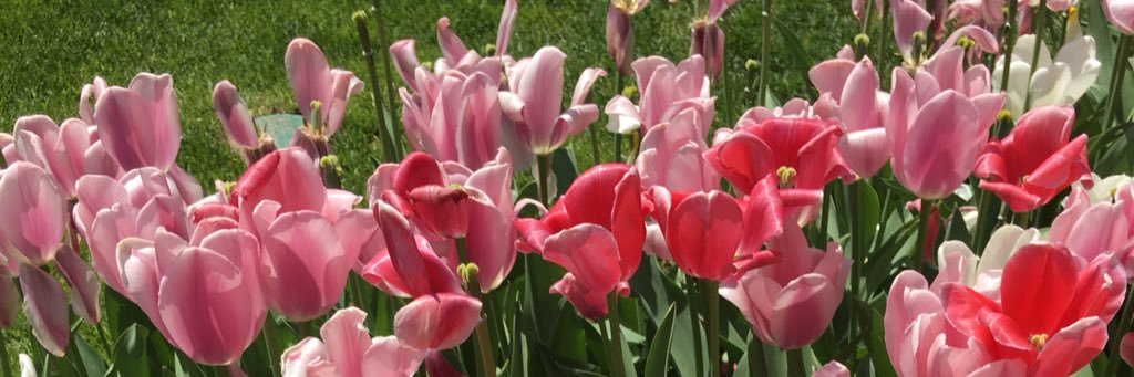mindylee1107's profile banner image