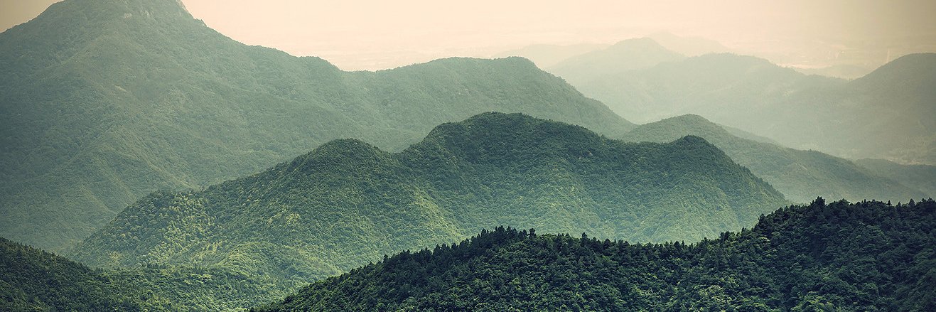 grnfirescience's profile banner image