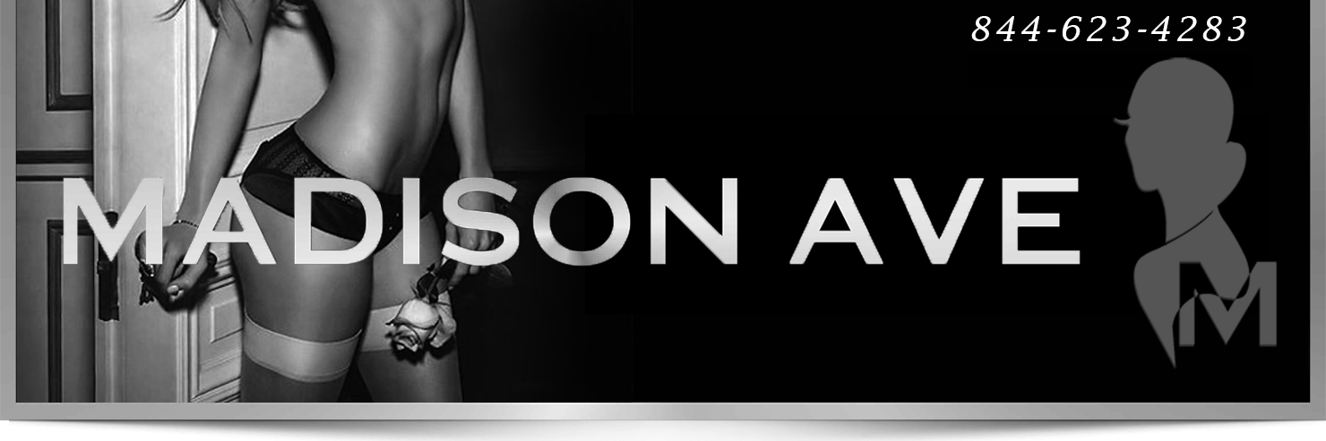 MadiAveModels's profile banner image