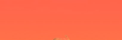 owiebarr's profile banner image