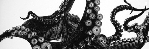 Alyshareed's profile banner image