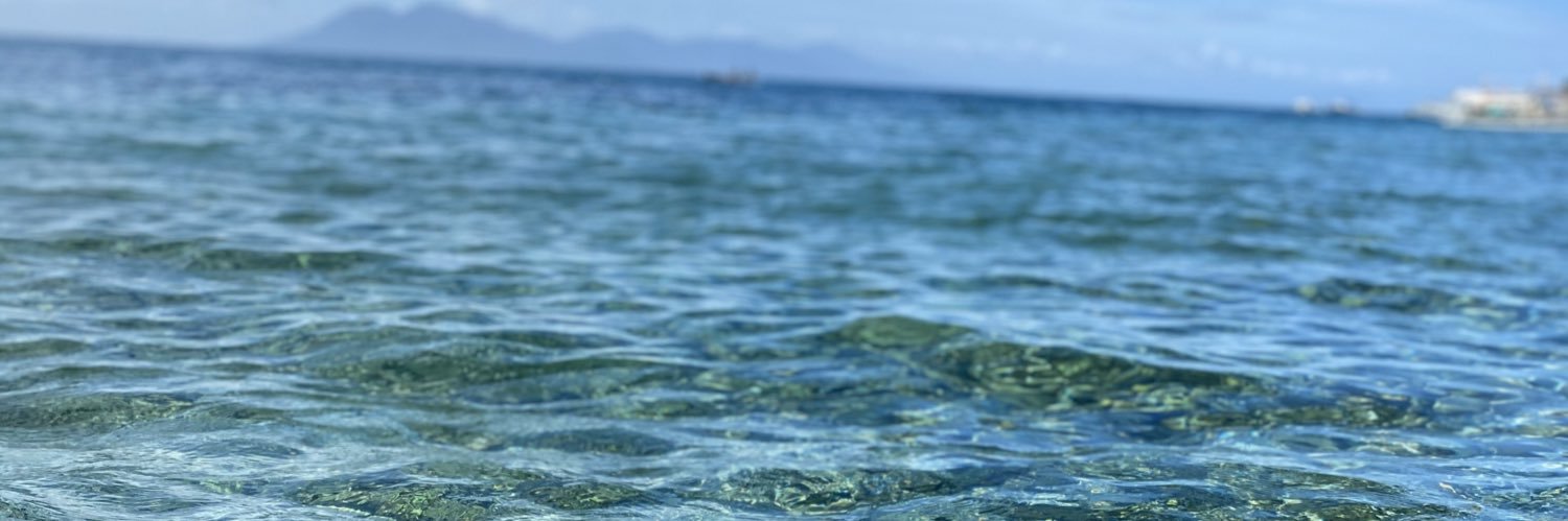 nicolesering's profile banner image
