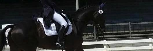 eventing_life2's profile banner image