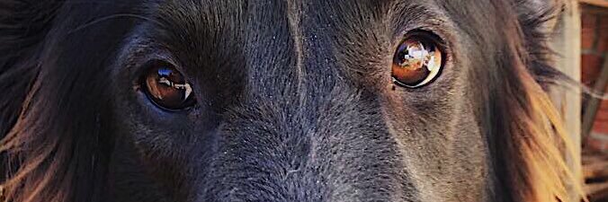 amaralgui23's profile banner image