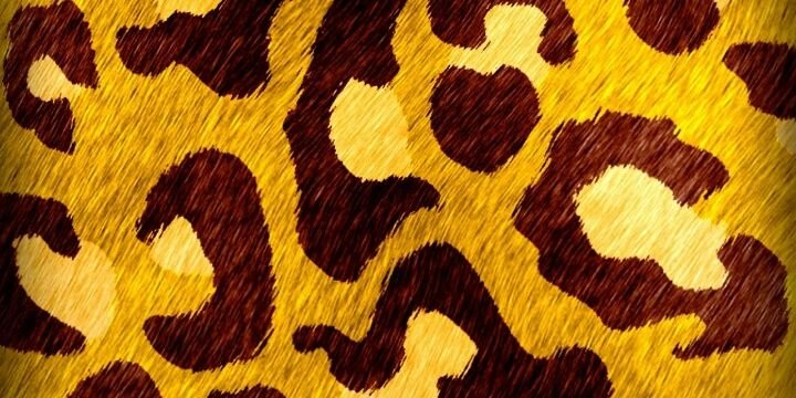 KellyCarvalh's profile banner image