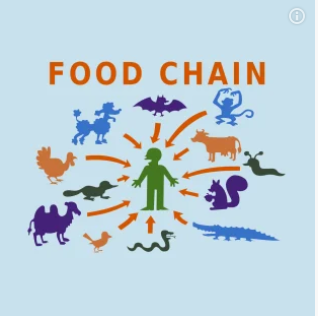 Jason Blankenship banner