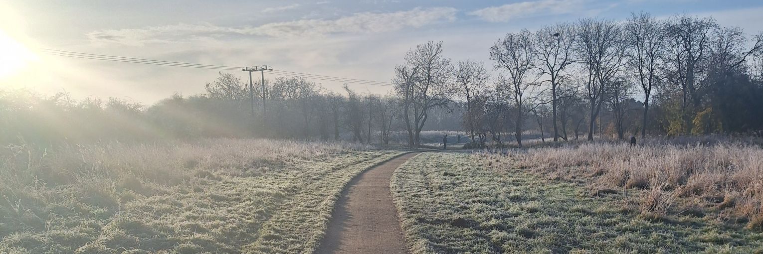 Felicity 💜🤍💚 banner