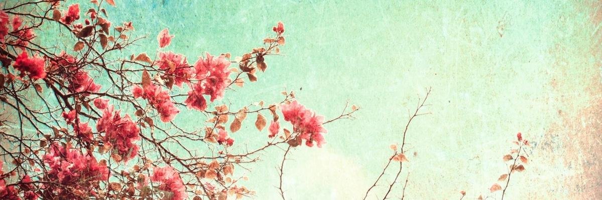 VersteegSimone's profile banner image