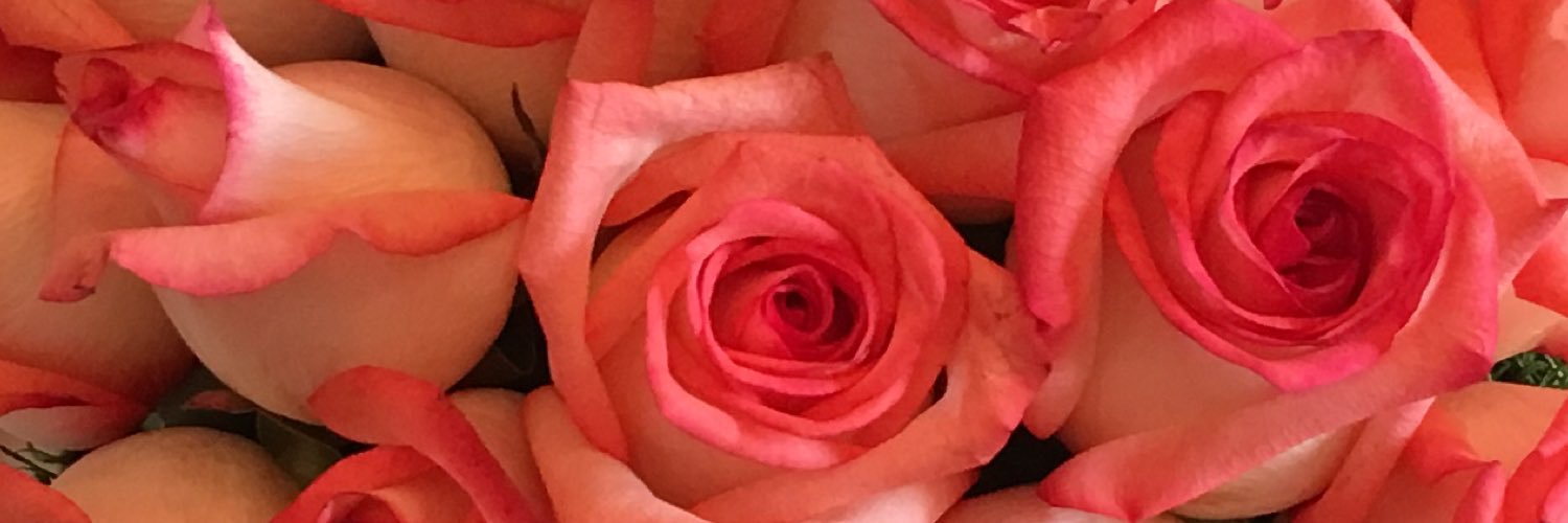 alityson96's profile banner image