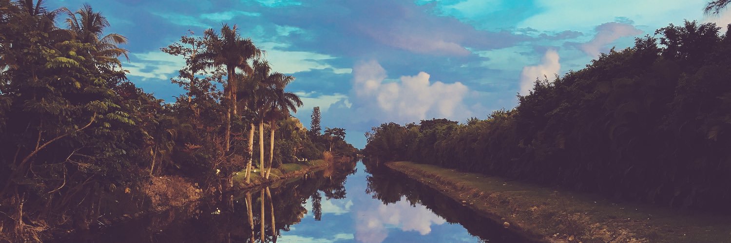 abbysgondek's profile banner image