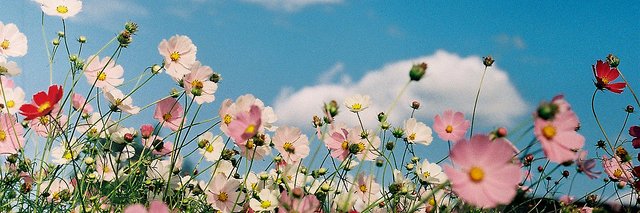 taatsdapaz's profile banner image