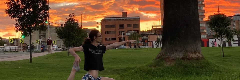 Ilehen ansiose banner