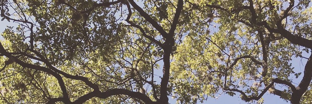 ebradz's profile banner image