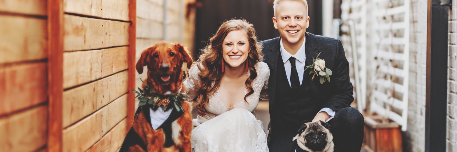 BloggerInAptB's profile banner image