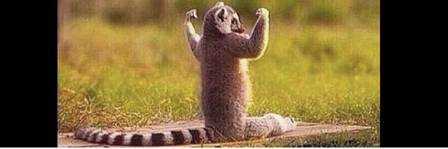 Linden Baxter banner