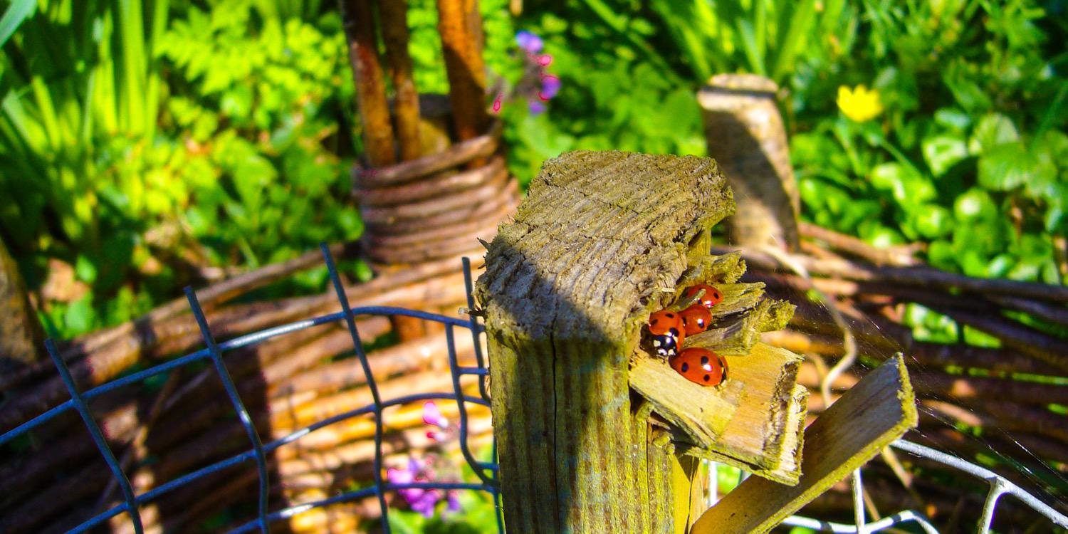 Slimbridge's profile banner image